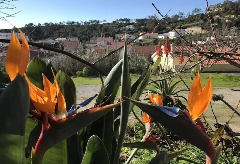 تختخواب و صبحانه Porto Monte