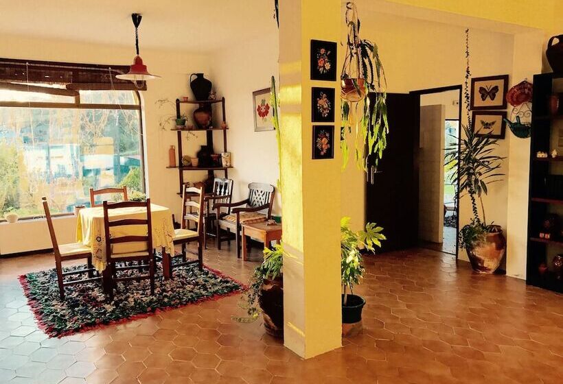 住宿加早餐  Porto Monte