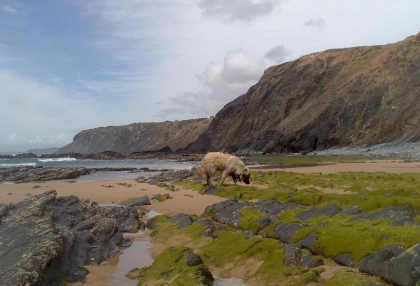 Bed and Breakfast Quinta Pero Vicente