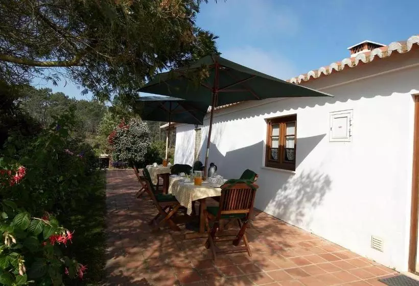 Aamiaismajoitus (B&B) Quinta Pero Vicente