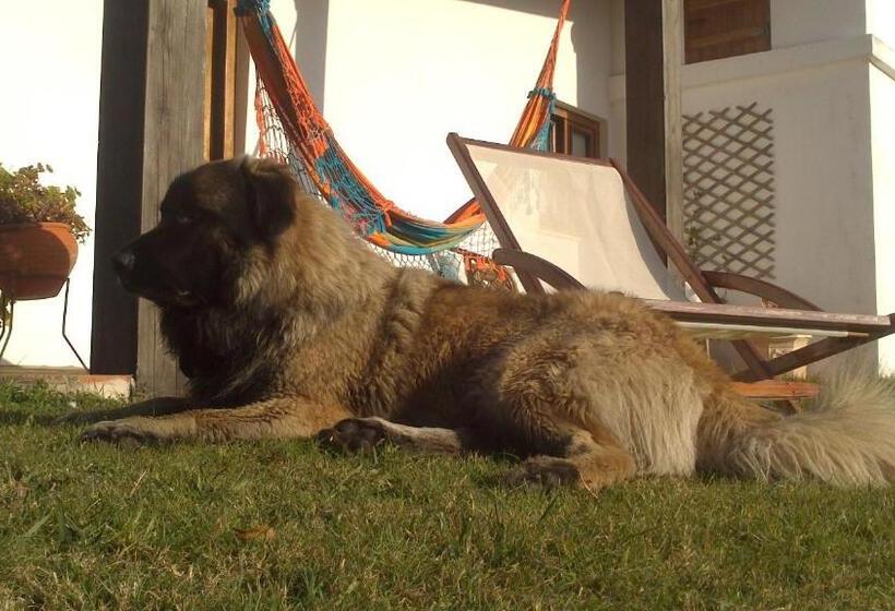 Bed and Breakfast Quinta Pero Vicente