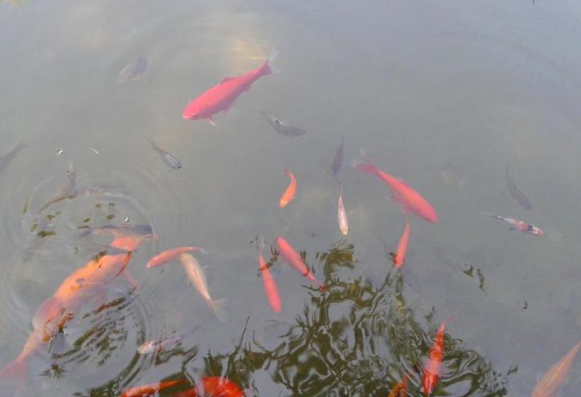 住宿加早餐  Reni S Oase Am Bodensee