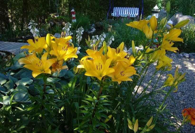 住宿加早餐  Reni S Oase Am Bodensee