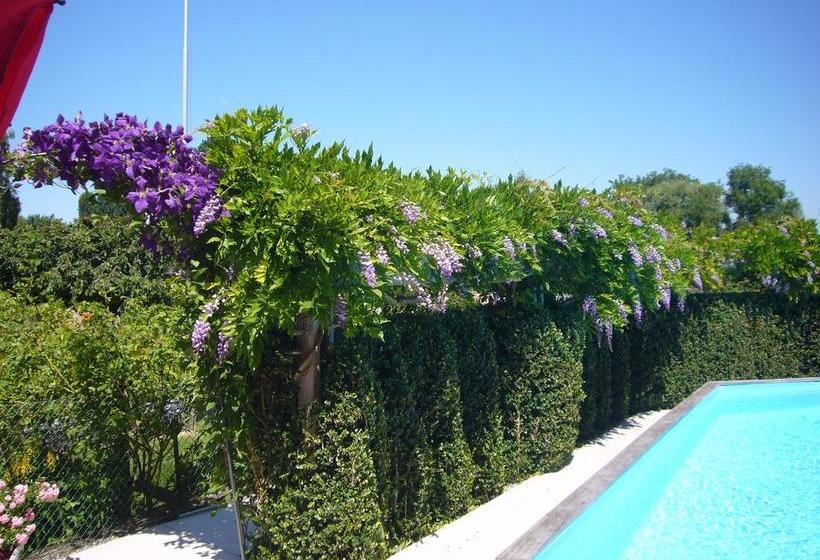 住宿加早餐  Reni S Oase Am Bodensee