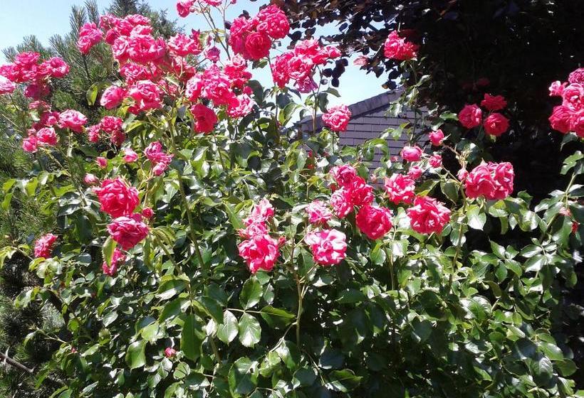 住宿加早餐  Reni S Oase Am Bodensee