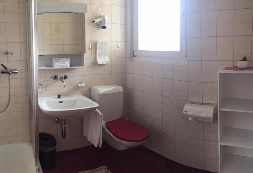 ホテル Albergo Lardi