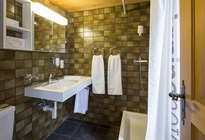 Hotel Bündnerhaus