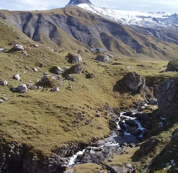 هتل Des Alpes