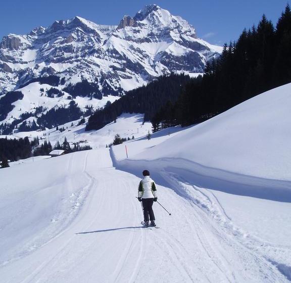בית מלון כפרי Des Alpes