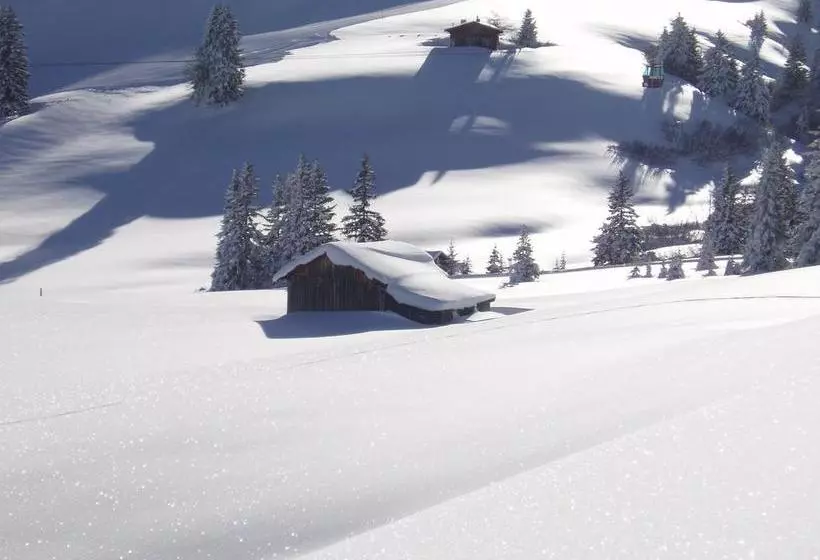 هتل Des Alpes