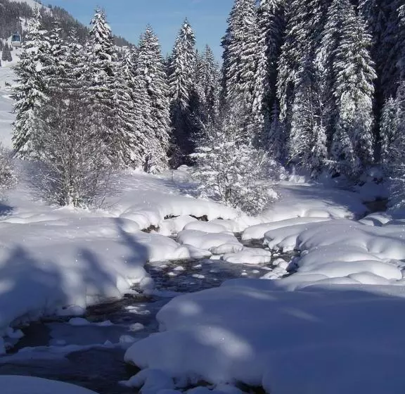 هتل Des Alpes