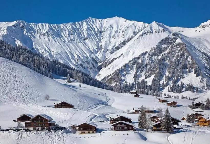هتل Des Alpes