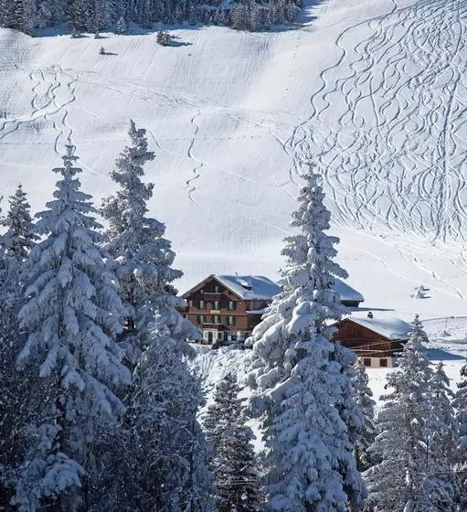 هتل Des Alpes