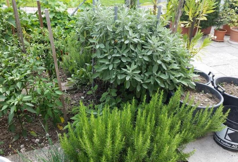 فندق Mare & Monti