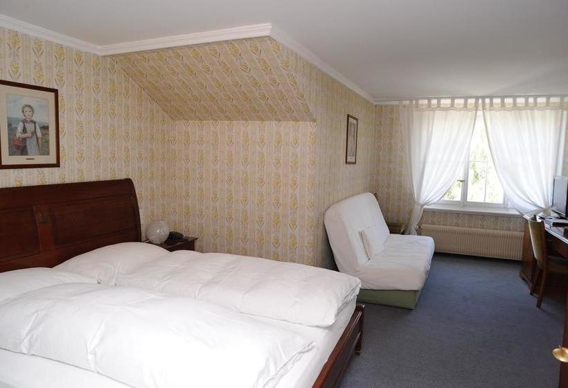 هتل Schiff Am See