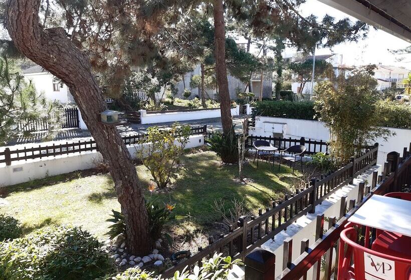 בית מלון כפרי Verde Pinho