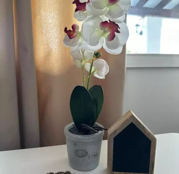 ベッドアンドブレックファースト La Casa De Familia