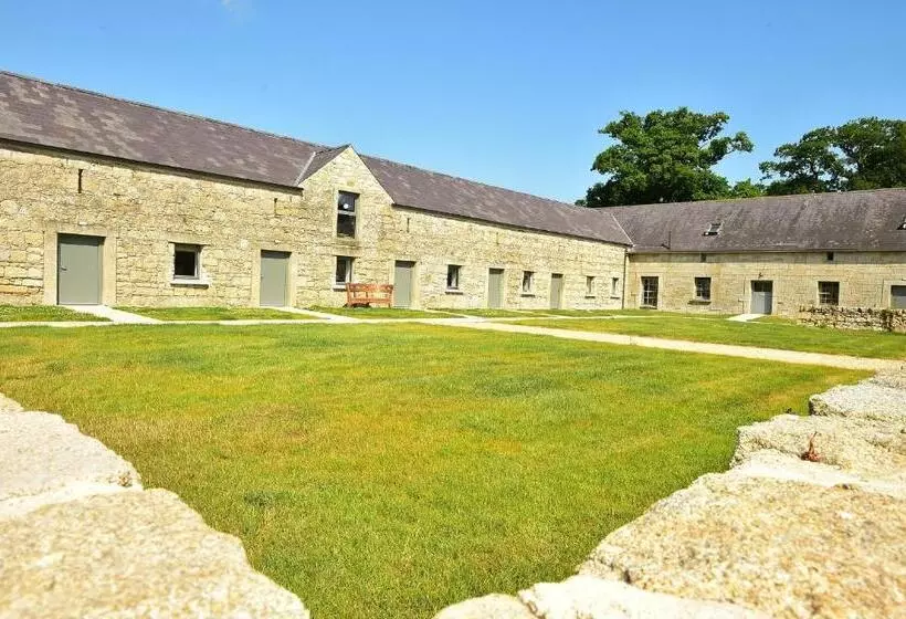 ホテル Upper Yard Borris House