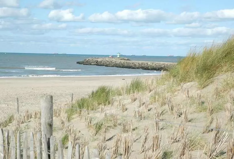 B&b Beach Inn