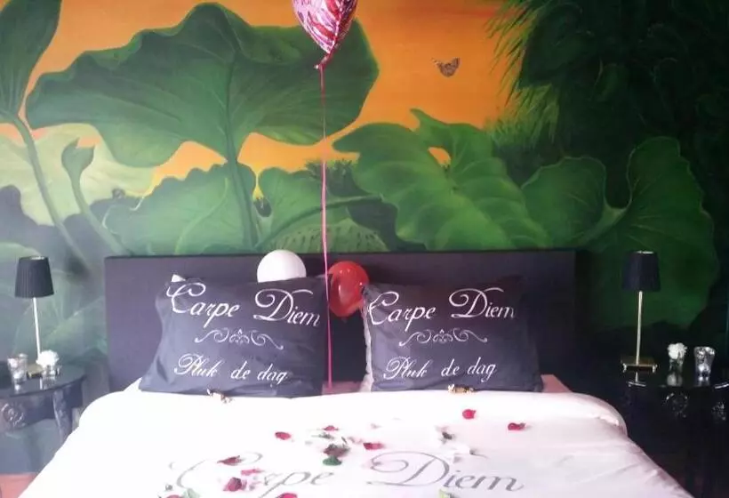B&b Carpe Diem