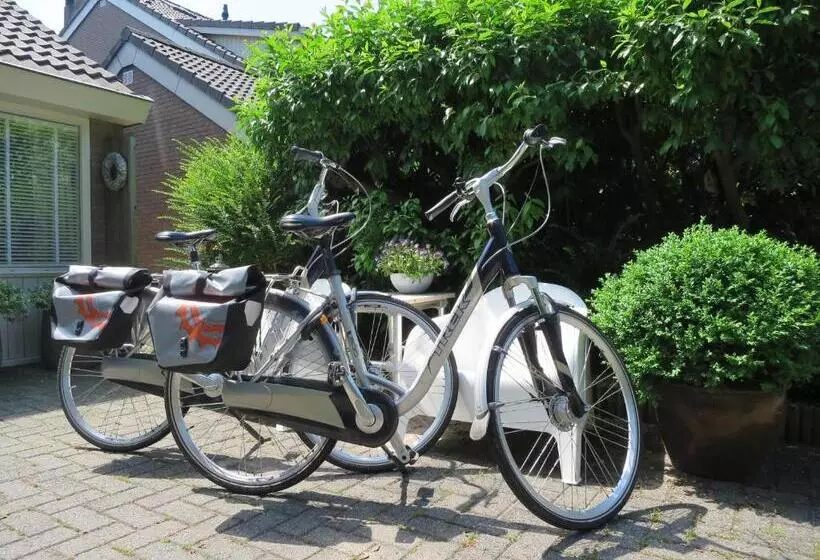 B&b Vloedlijn Texel