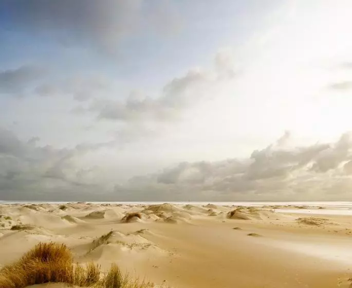 B&b Vloedlijn Texel