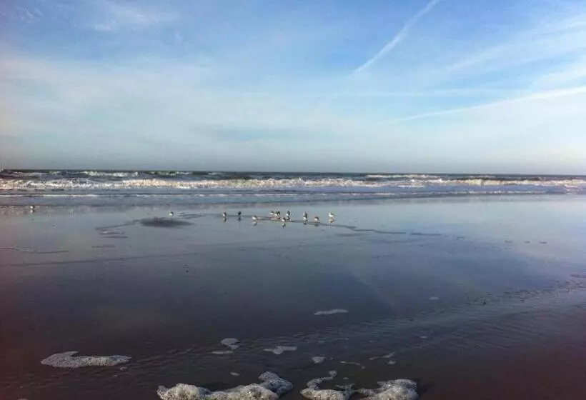 B&b Vloedlijn Texel