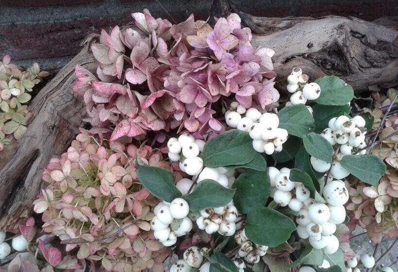 Bed and Breakfast Boerderij De Spijken