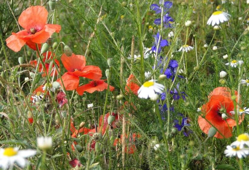 Bed and Breakfast Boerderij De Spijken