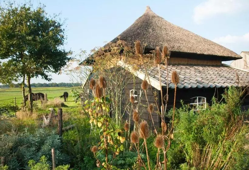 Aamiaismajoitus (B&B) De Bolderie