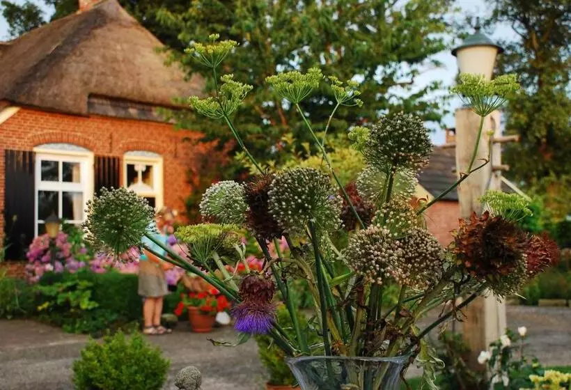 Aamiaismajoitus (B&B) De Bolderie