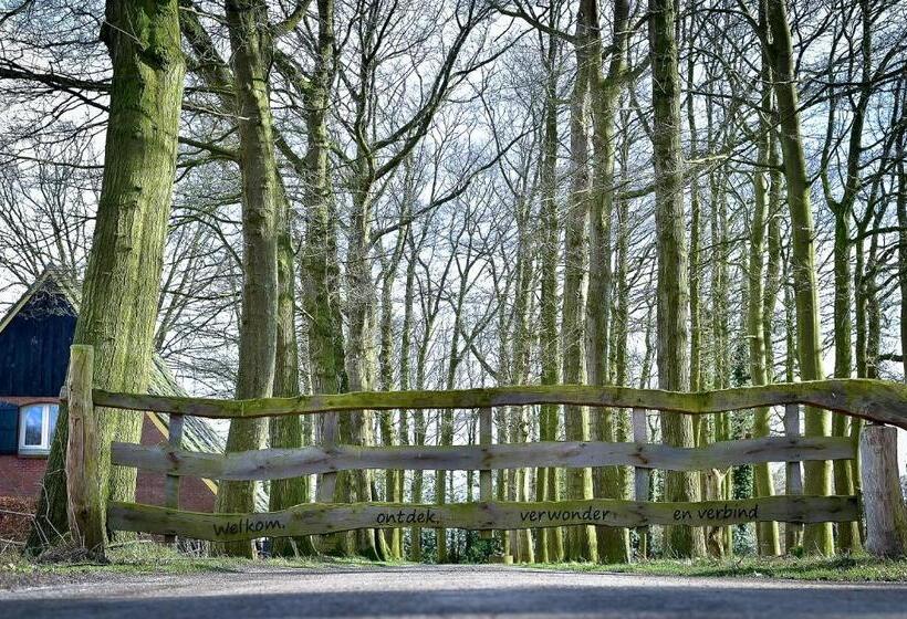 민박 De Woeste Wieven Op Erve Bonkert