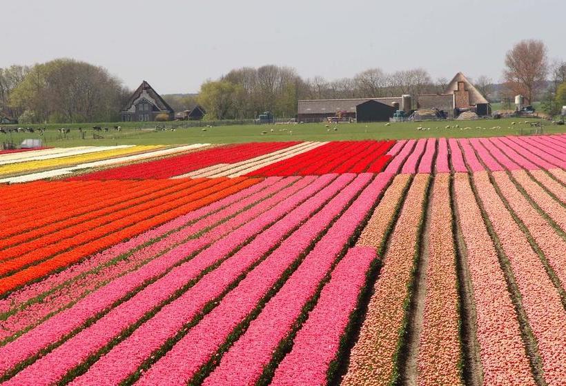 Bed & Breakfast Tjallewal