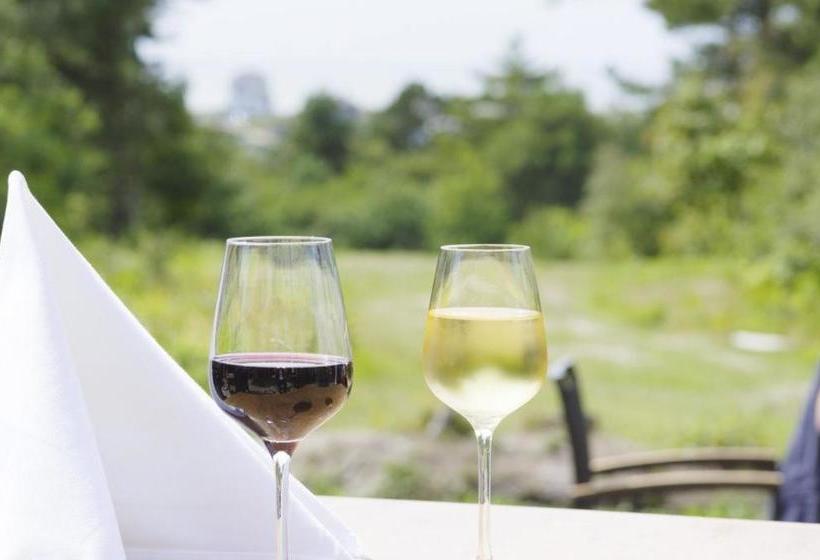 酒店 Landgoed Huize Glory