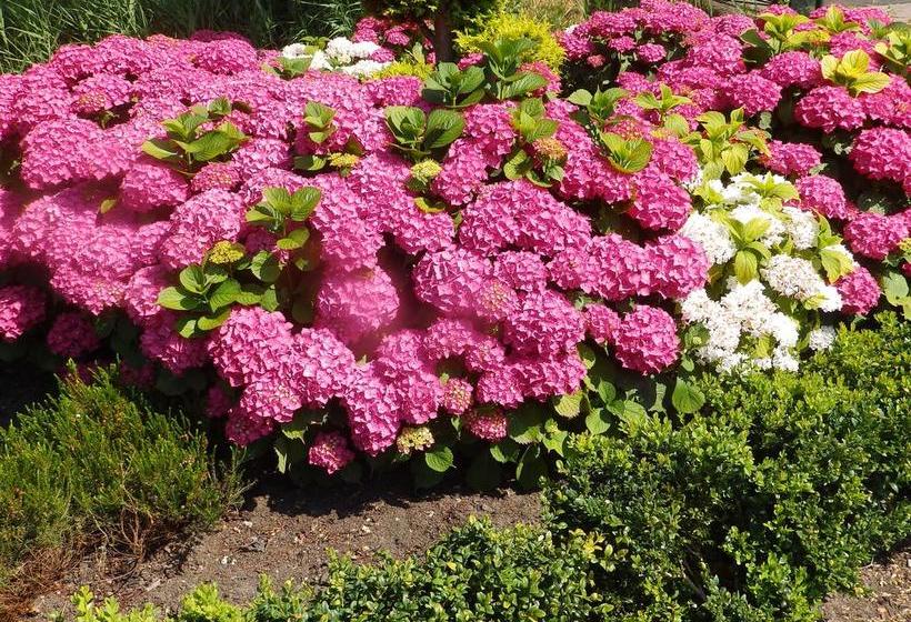 酒店 Landgoed De Sniep