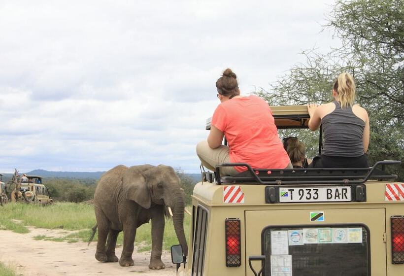 Janibichi Adventures Hostel