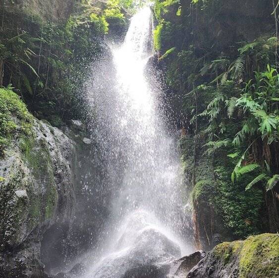 Janibichi Adventures Hostel