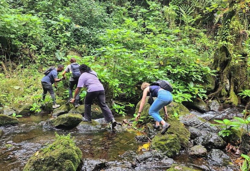 Janibichi Adventures Hostel