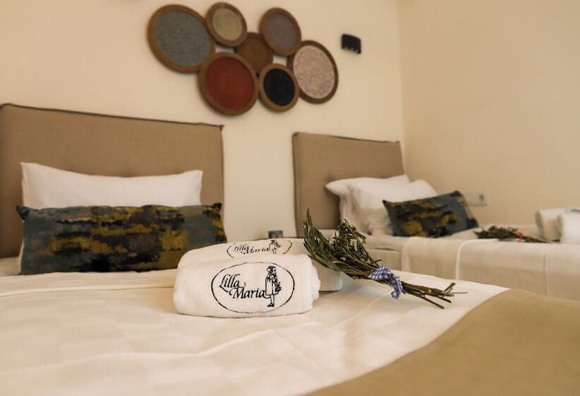 هتل Lilla Maria Guesthouse