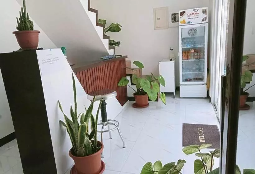 هاستل Kmj Suites