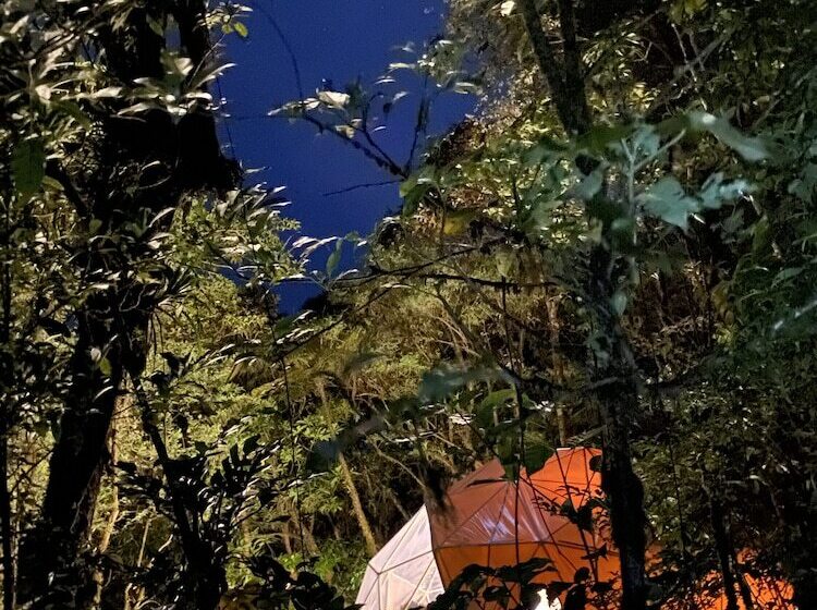 호텔 Way To Heaven Glamping