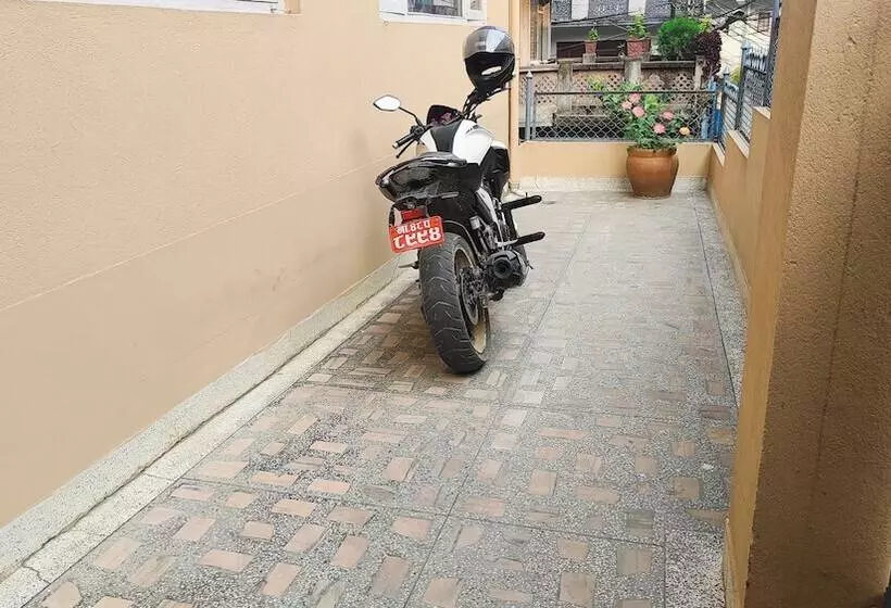 هاستل Budget Backpackers