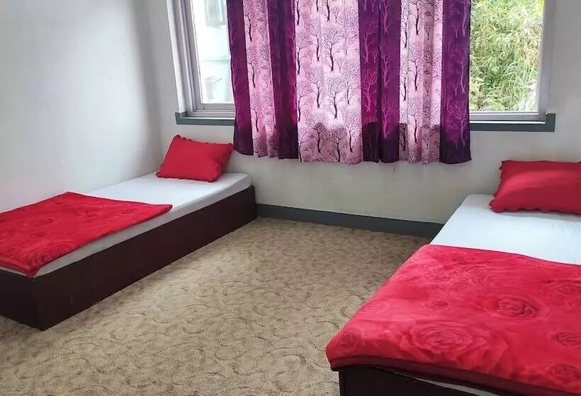 هاستل Budget Backpackers