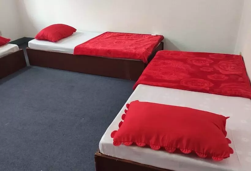 هاستل Budget Backpackers