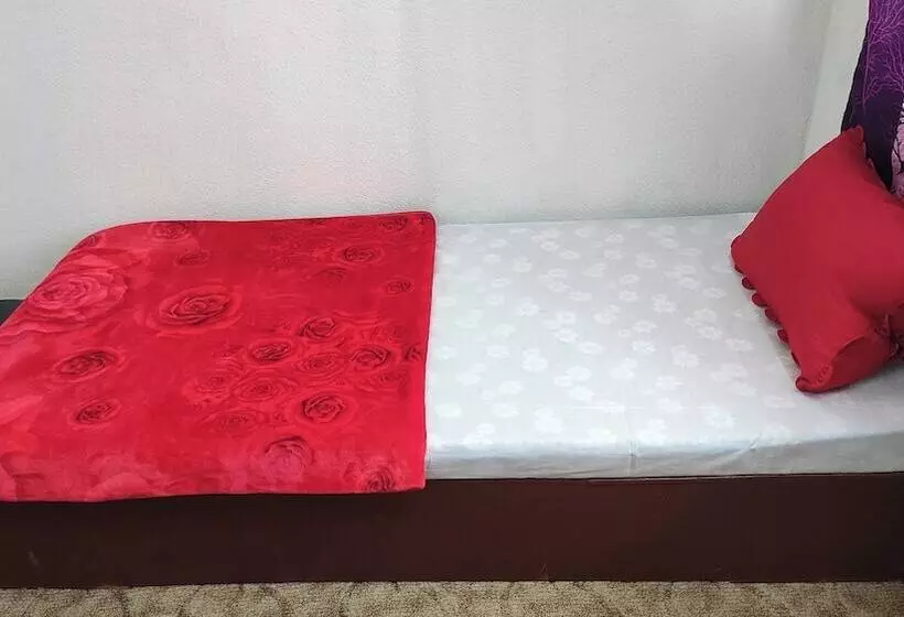 هاستل Budget Backpackers