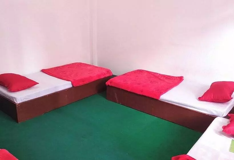 هاستل Budget Backpackers