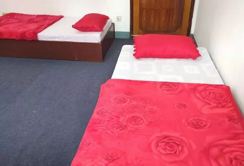 هاستل Budget Backpackers