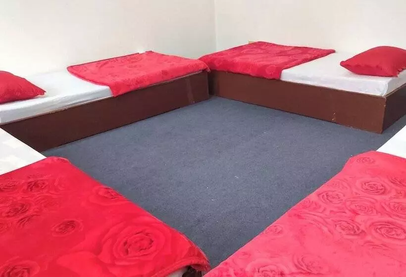 هاستل Budget Backpackers