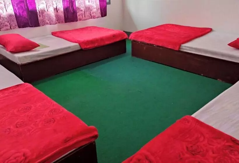 هاستل Budget Backpackers