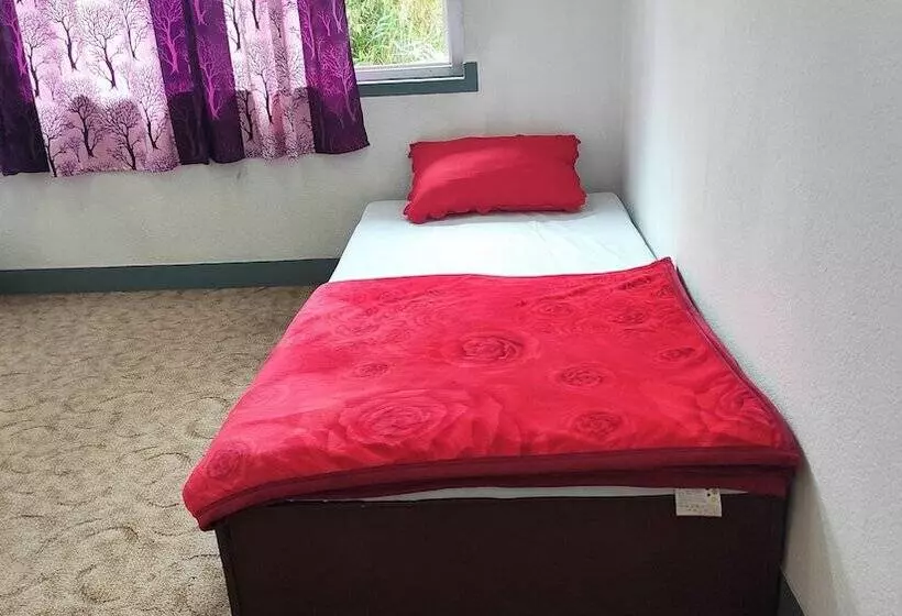 هاستل Budget Backpackers